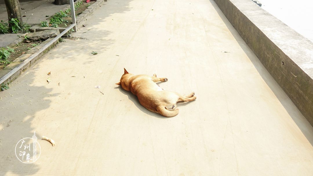 广州隐世峡谷游玩攻略,广州要坐船才能登的小岛