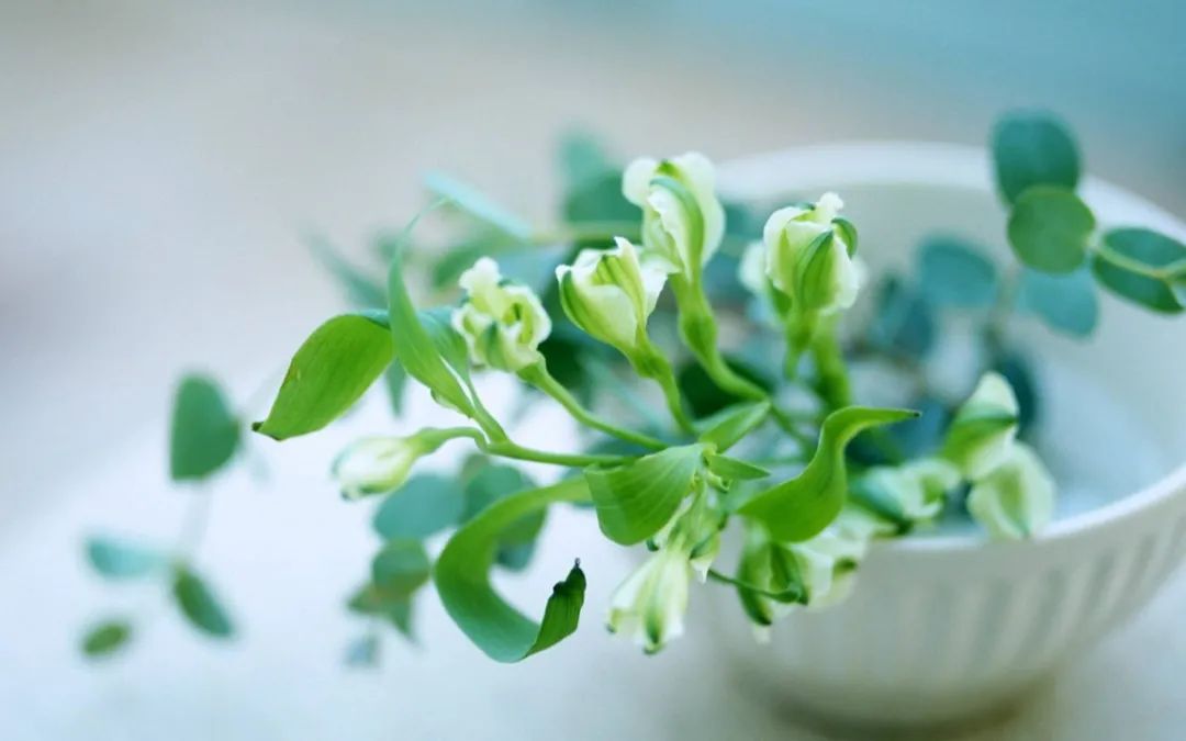 鍐呮睙澶у崈鏁呴噷涓囧悕鍎跨缁樼敾姣旇禌,鍙屽煄灏戝効缁樼敾澶ц禌