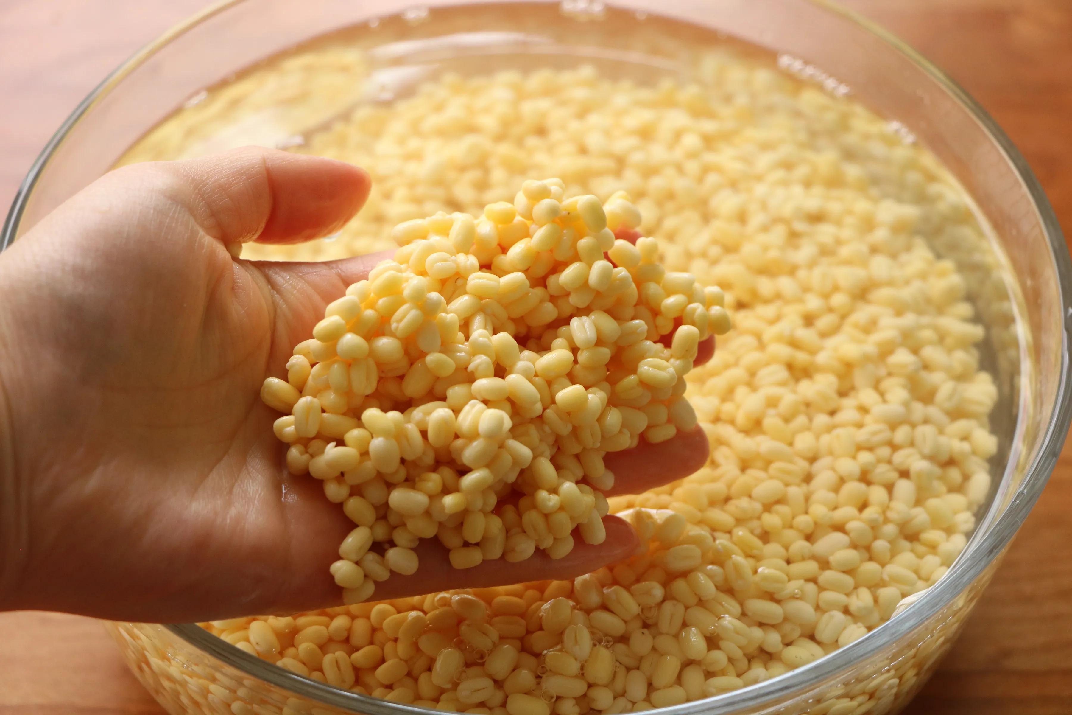 教你用什么方法做绿豆饼,绿豆饼怎么做酥到掉渣