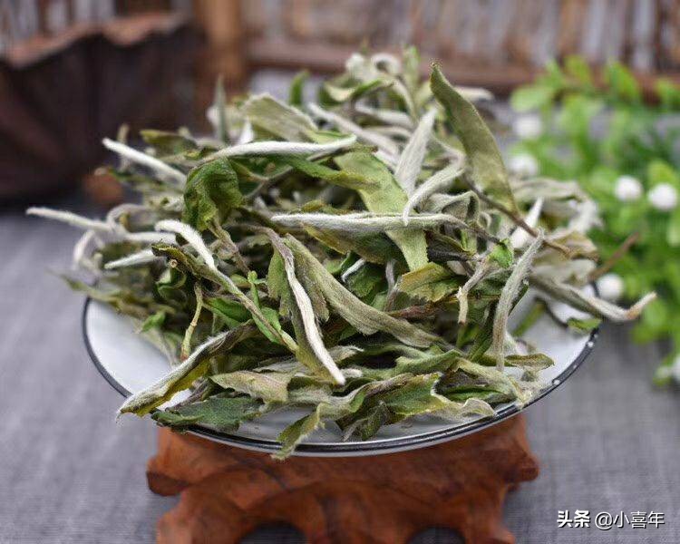 最美的十种茶名,十大最美茶园