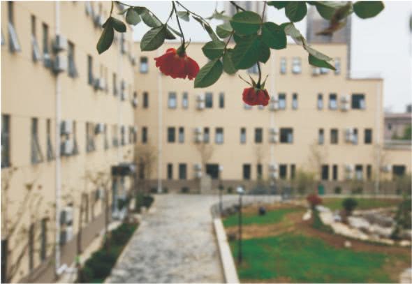 西安丹青易考美术学校联系方式,西安丹青文化课培训学校