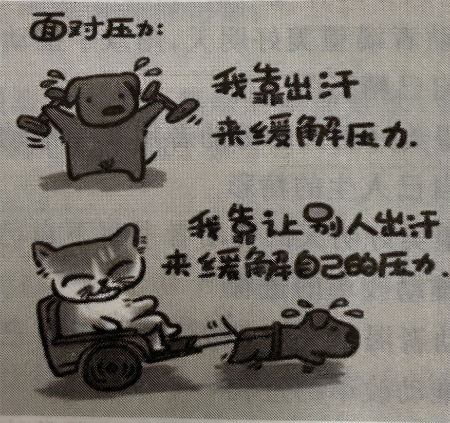 2020年三校联考作文,2021名校联盟高三联考语文作文