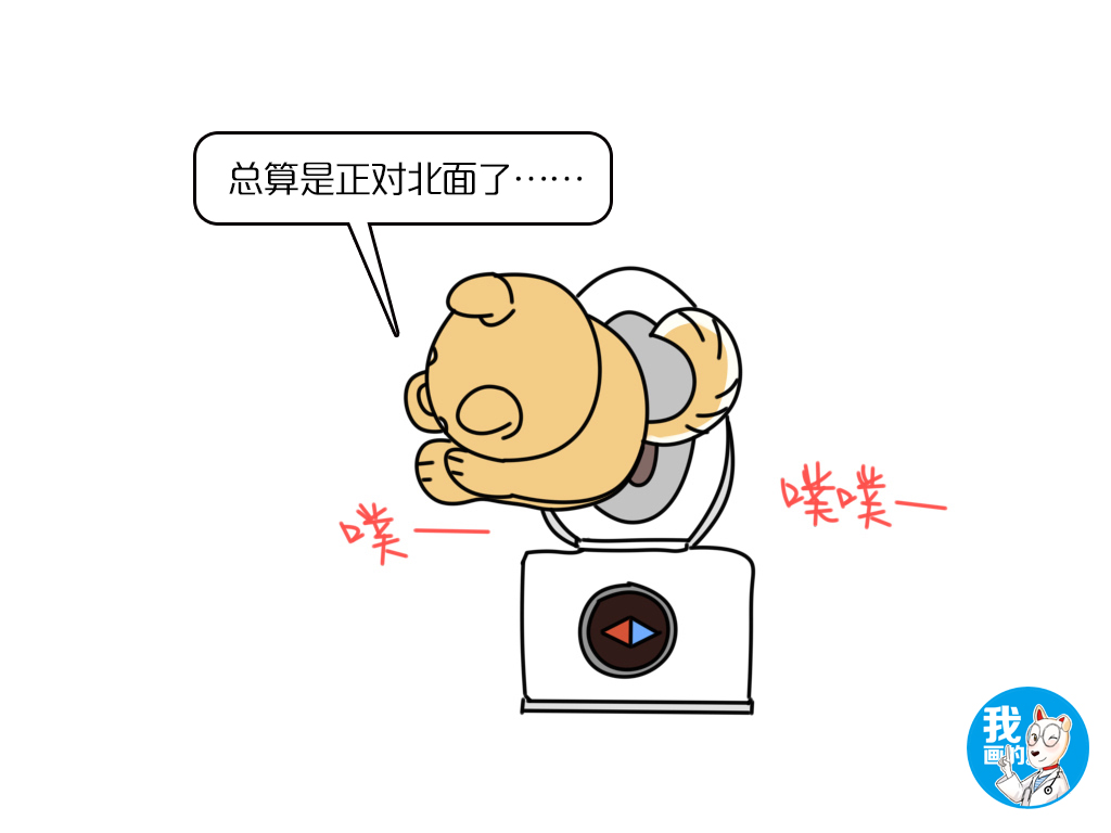 狗狗突然尿尿变得频繁不能憋尿,狗狗憋尿一整天会影响健康吗