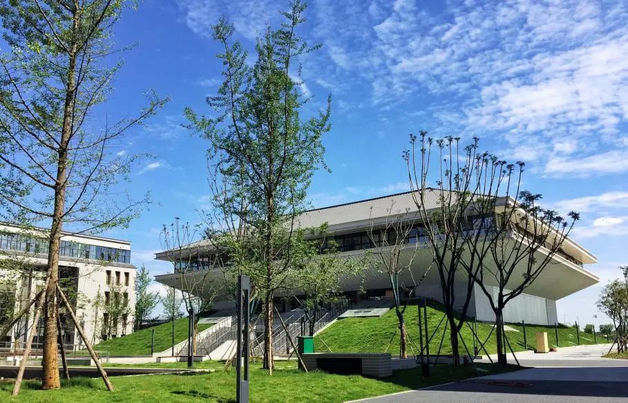 天府四中23摇号比例,成都三中摇中概率