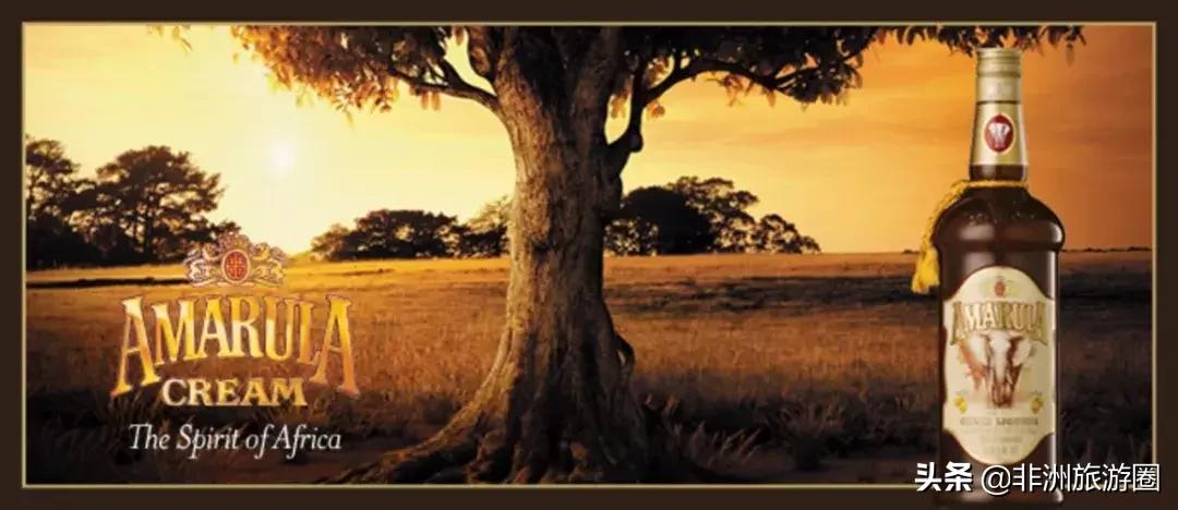 去南非买什么最好,南非有没有什么东西必买的