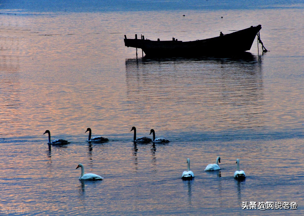 光威集团碳纤维发展史,碳纤维鱼竿光威