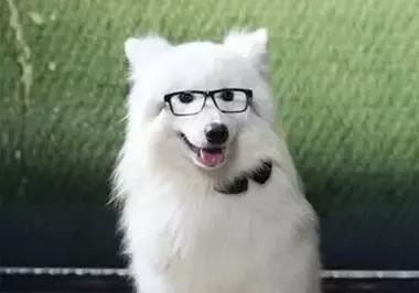 最容易读错的106个多音字赶快收藏,必背50个常见多音字你会几个