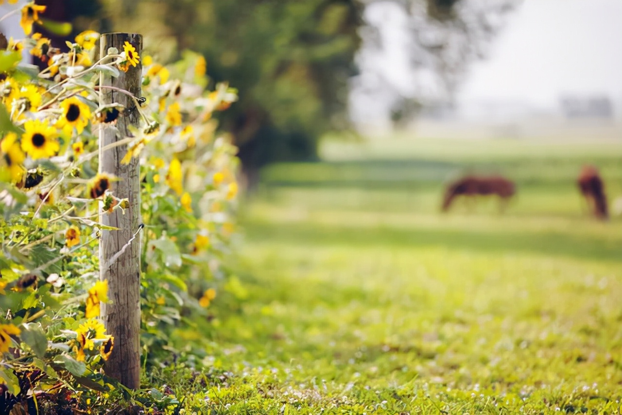 男人出轨冷落自己该怎么应对呢,当男人冷落你时最好的回击方式