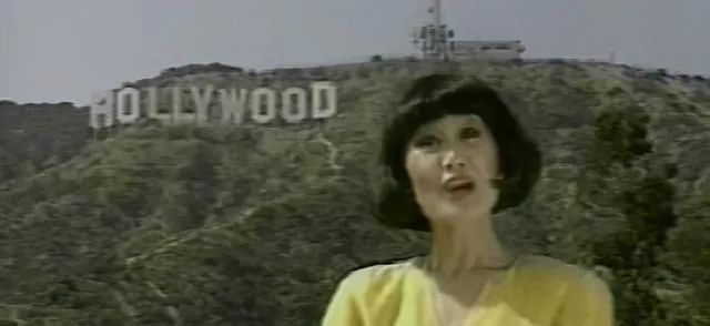 靳羽西人生经历,靳羽西个人经历