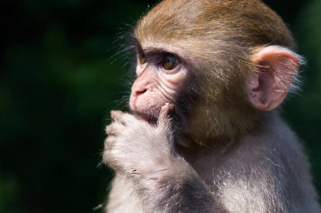 十大无需本钱创业项目交流,无本钱创业22种方法见效项目