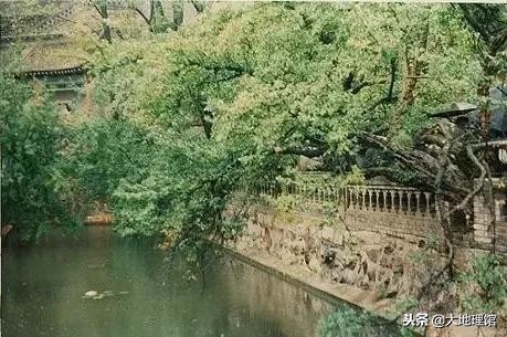 石榴传奇,石榴早在2000多年前经过丝绸之路