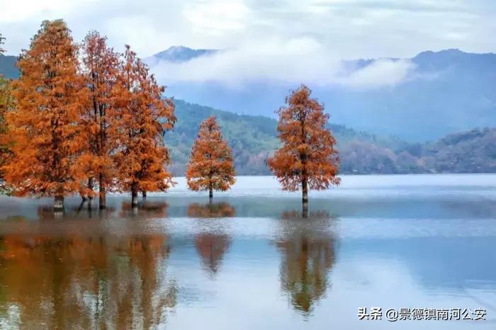 到唐诗中欣赏四季的诗句,诗词经典赏析唐诗三百首唯美古风