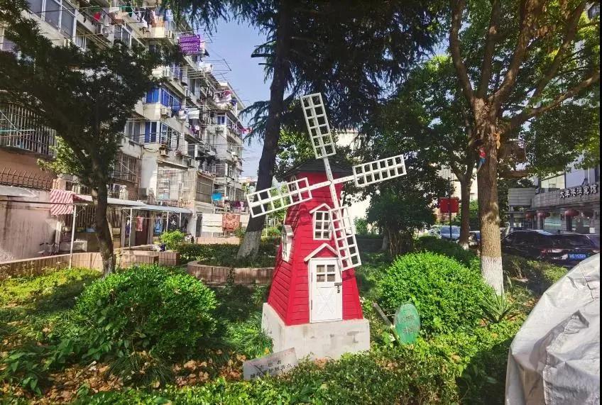 窗外的“毒枝”是折是留？来看这个小区的解决方案