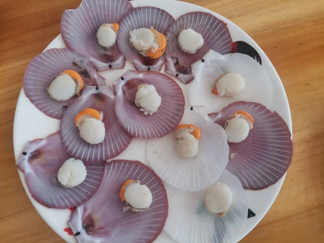 开海季都有什么海鲜,开海了这些生猛海鲜