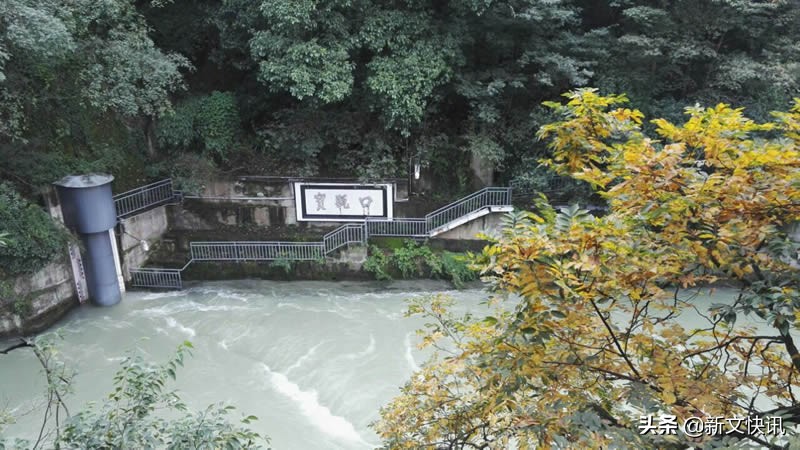 成都世警赛,成都世警会射击比赛