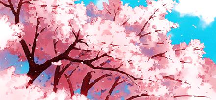 京郊最美的十大花海,京郊这些浪漫花海惊艳初秋的北京