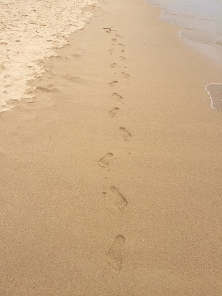 亚龙湾4天三晚,三亚7天6晚红树林