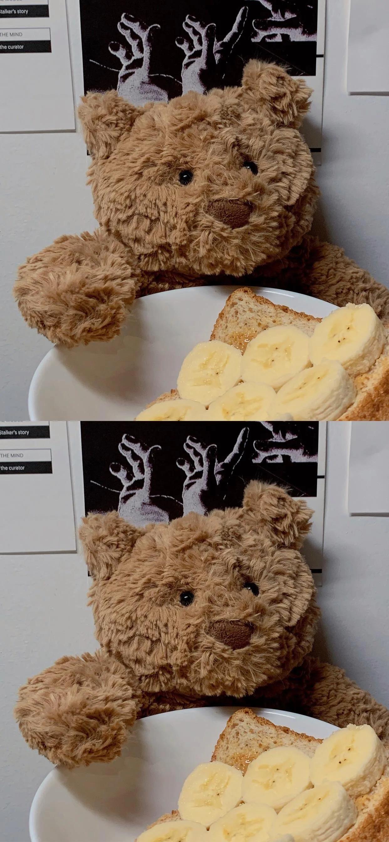 巴塞罗那熊4k壁纸,巴塞罗那熊高清手机壁纸