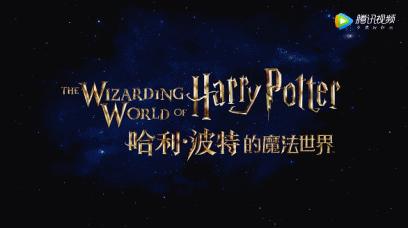 深度观察|一个IP如何矩阵布局——以《哈利·波特》为例
