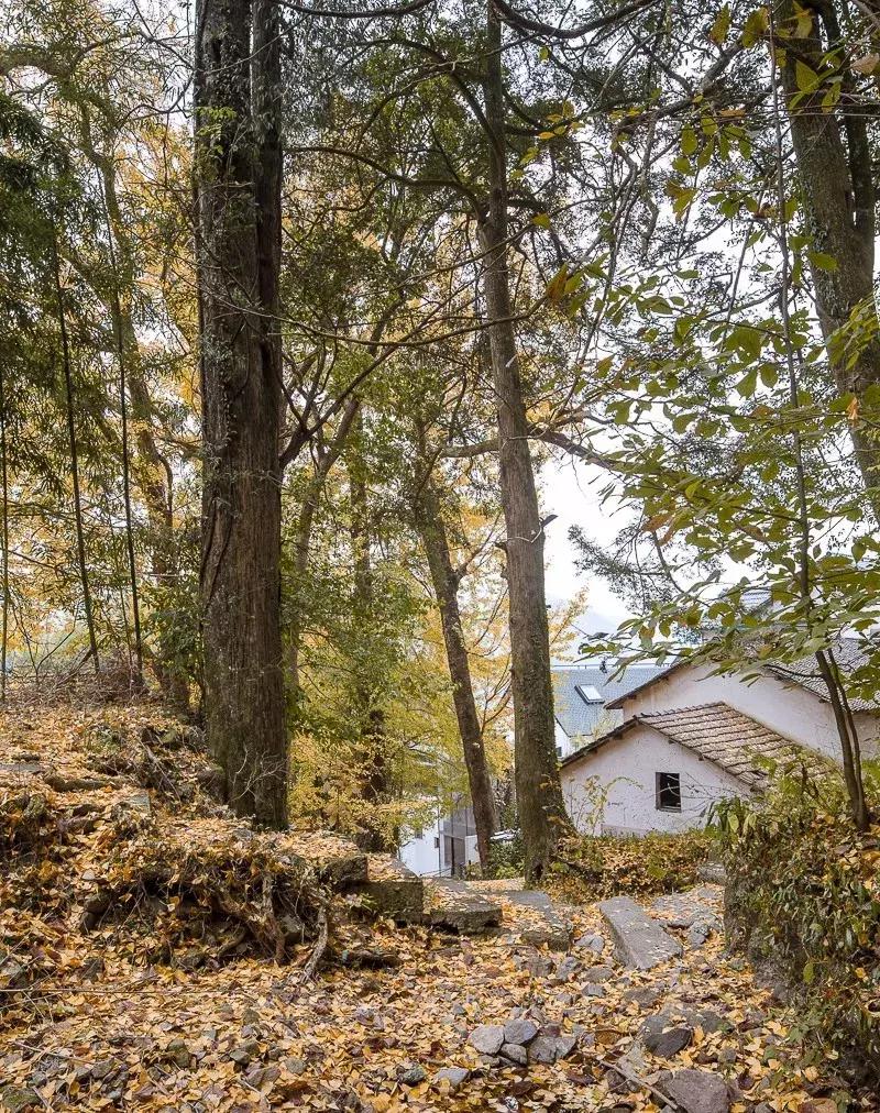 8分钟直抵江南唯一滑雪场，还有温泉，来这家高山云雪民宿充电打卡