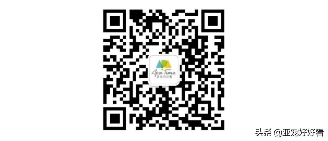 听话的店狗能带来多少生意！如何用“训练”改变活体销售困局