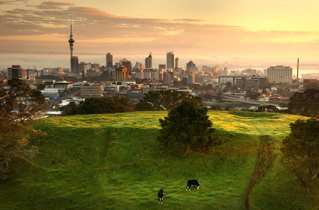 信小呆中国锦鲤是一年还是永久,中国锦鲤信小呆共中了哪些奖项