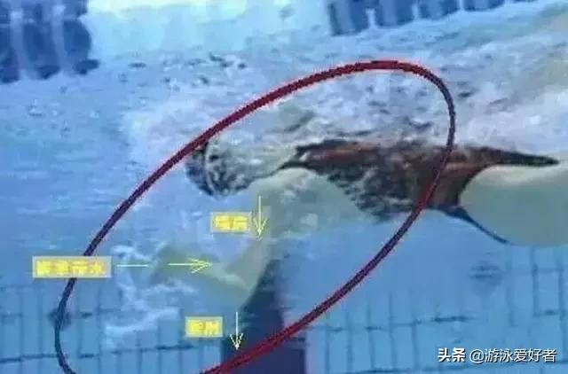 仰泳蹬腿如何不呛水,仰泳转身才不会呛水