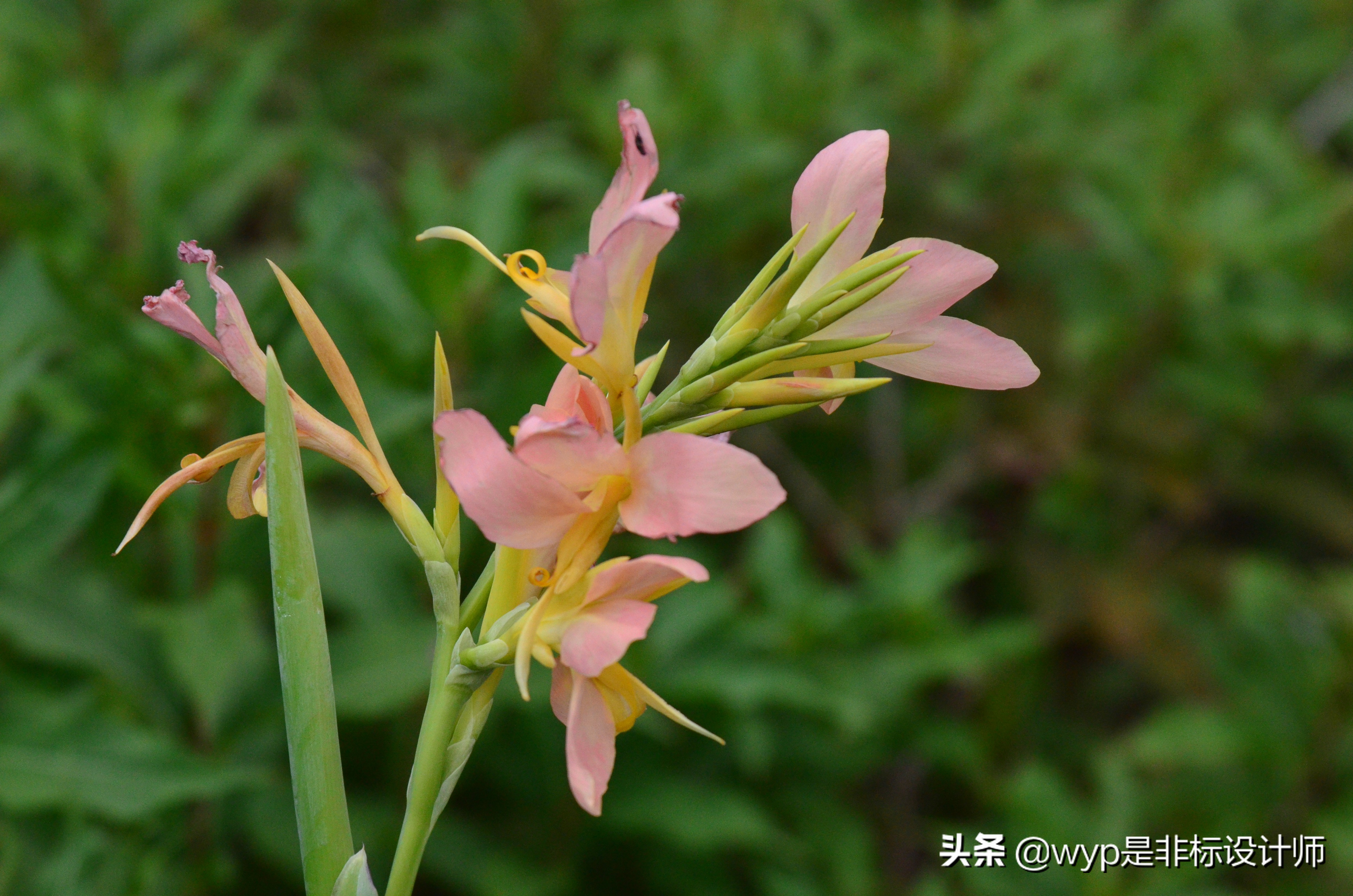 云林仙境航拍,云林仙境美景