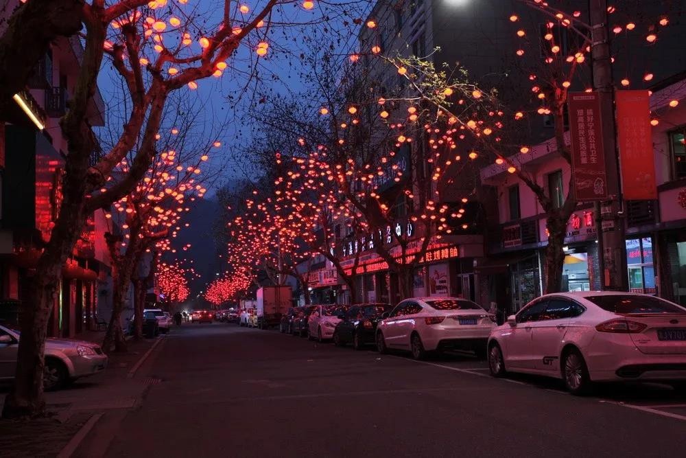 台州踏春好去处,最是一年春好处朗诵