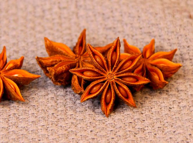 莽草和八角的区别,莽草和八角区别