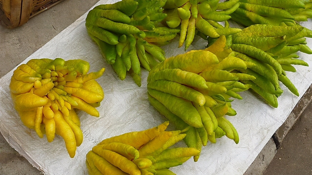 4副堪称绝对的精品对联，流传千百年，令人啧啧称叹