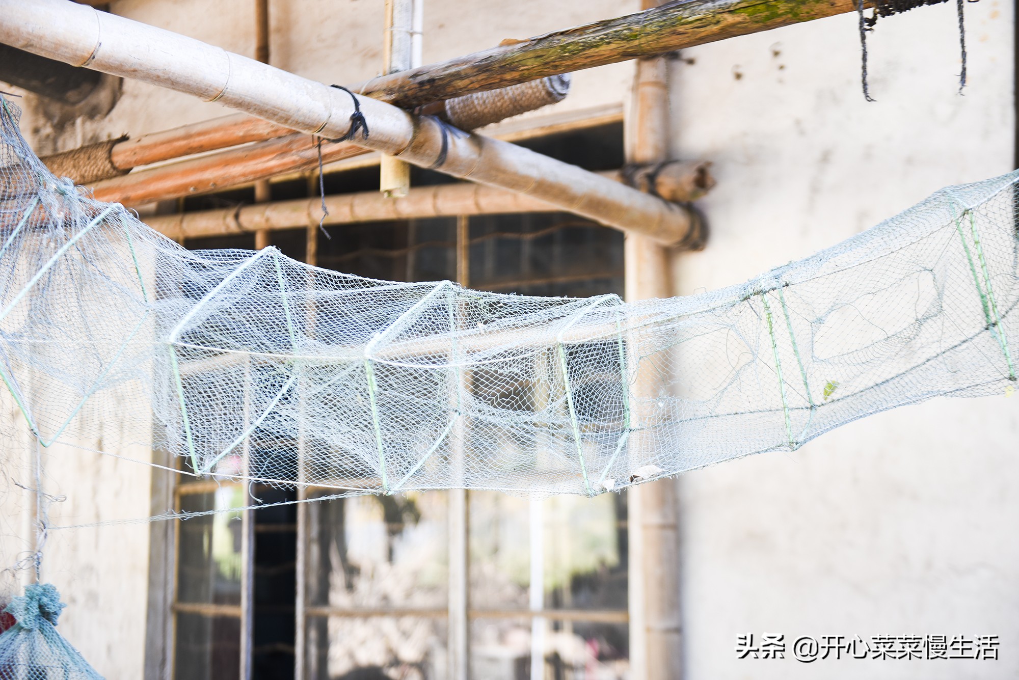 自驾到广东*江阳**旅游，下了高速无意进入一家美食店，没想竟是名店