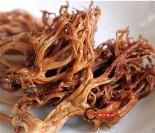 这种菌一带到广州一下子！鹿茸菌#2019生机大会#