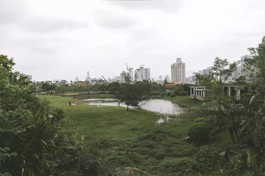 2021深圳免费适合遛娃玩地方排名,深圳免费游玩景点推荐