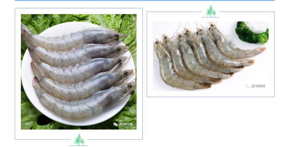 海鲜进口流程及注意事项,海鲜进口清关