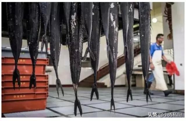 鲜带鱼和冻带鱼有什么区别,新鲜带鱼和冰冻带鱼哪个好吃