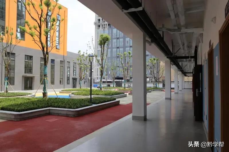 贵阳小学分校排名,贵阳小学总校和分校有区别吗