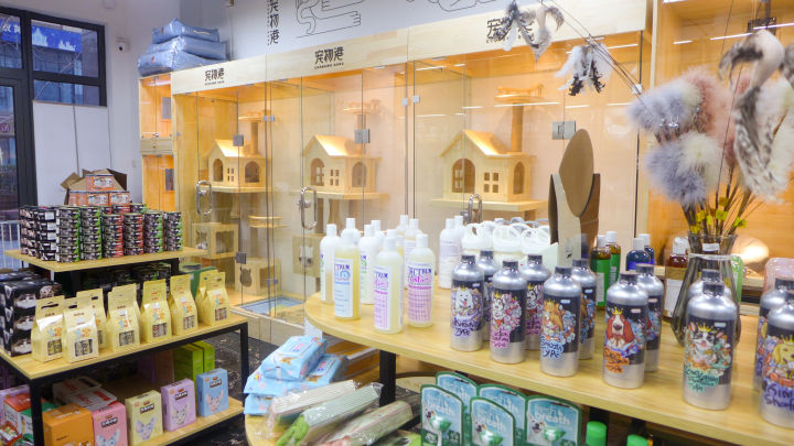 欧美风宠物店,温馨明亮的宠物店风格