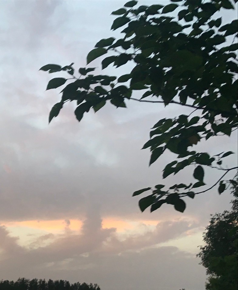 许三观卖血记全文,许三观卖血记全书精简书评