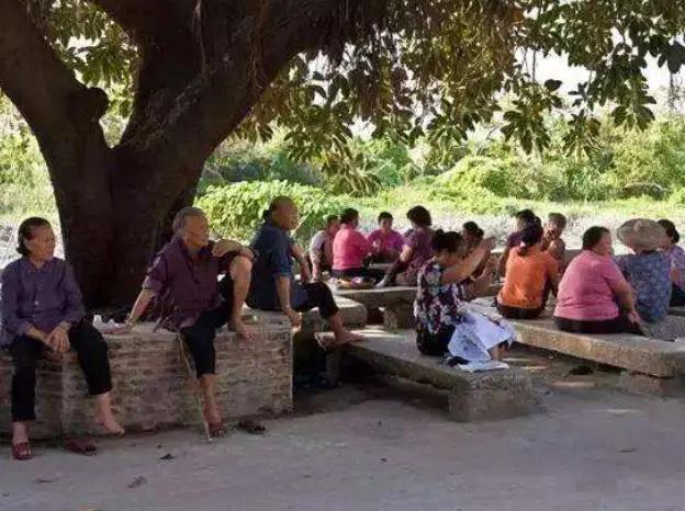 农村兄弟不和的原因有哪些,农村兄弟之间的关系