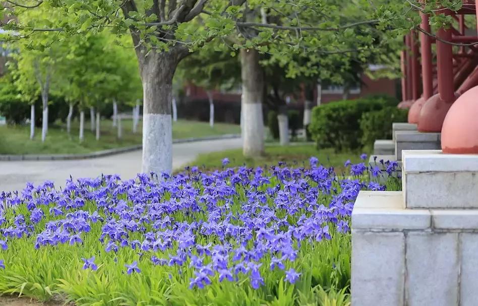 大连二十八中学地址,辽宁第一高级中学