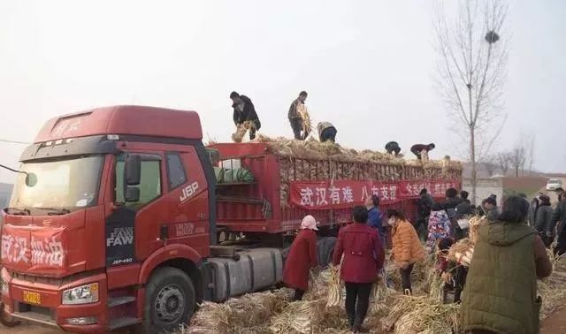 确诊4万多例……熬不住了看看他们!