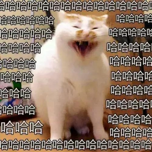 珠海长隆亲子游自由行攻略,珠海长隆亲子游攻略省钱