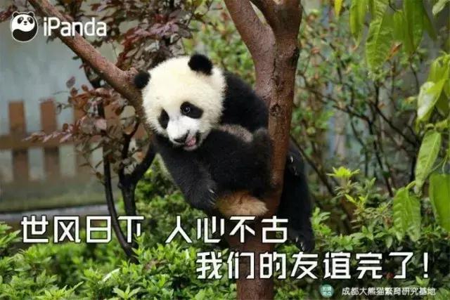 学姐神吐槽：在英国千万别做什么？看完我笑了