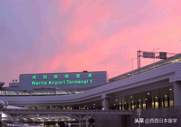 为什么日本的和尚能结婚生子 (日本和尚为什么能结婚)