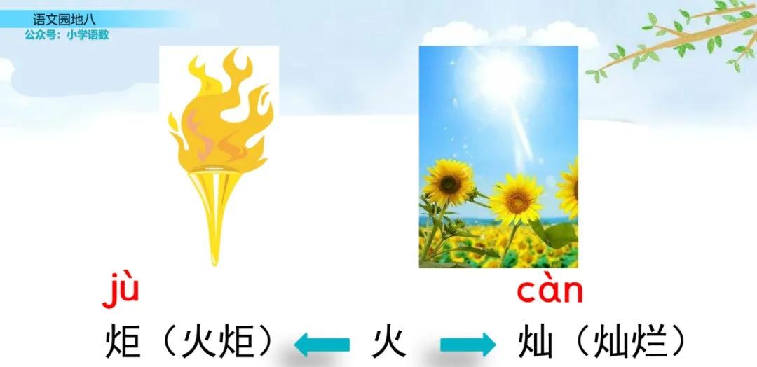 二年级上册语文园地八讲解视频,二年级语文园地八给动物分类答案