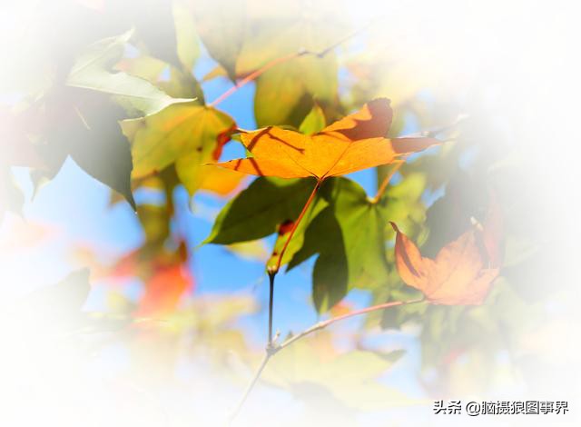 ps摄影后期软件工具使用教程,摄影ps后期工具栏设置