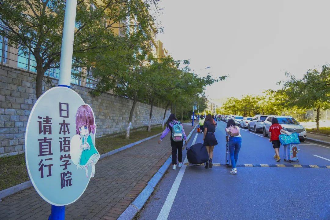 澶у杩庢柊,澶у杩庢柊鍥剧墖