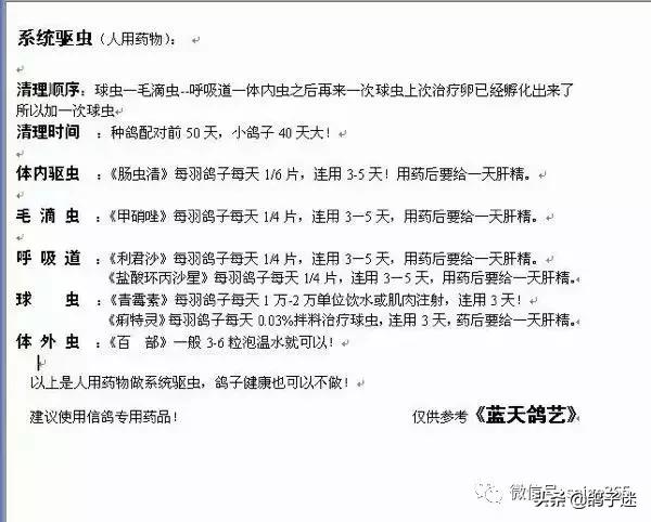 人药治鸽病配方大全,教你巧用人药治鸽子病