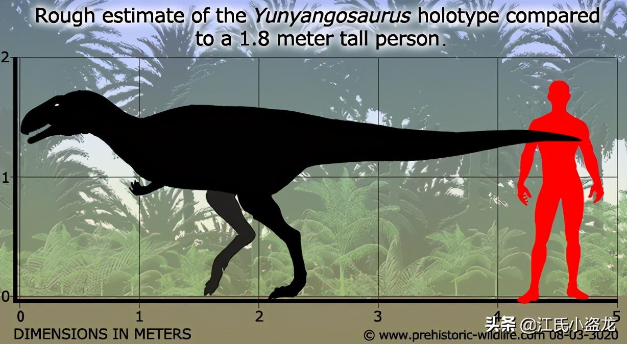 古生物时代有多少种恐龙,人类已经发现了多少恐龙种类
